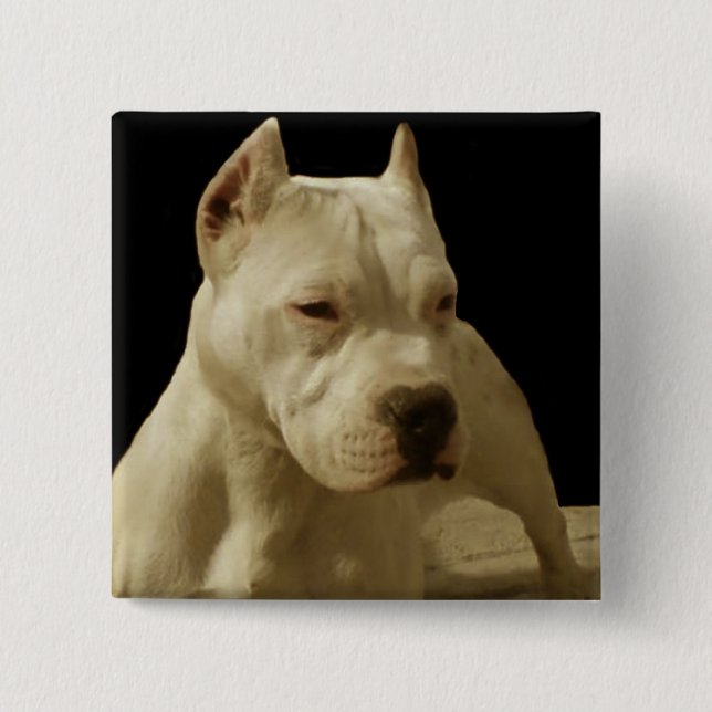 Bóton Quadrado 5.08cm Pitbull branco (Frente)