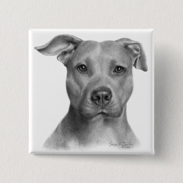 Bóton Quadrado 5.08cm Pitbull Terrier americano (Frente)