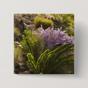 Bóton Quadrado 5.08cm plantas do deserto de Chihuahuan em flor