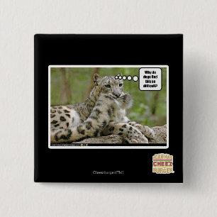 Bóton Quadrado 5.08cm Por que os cães encontram este tão difícil?