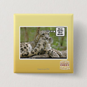 Bóton Quadrado 5.08cm Por que os cães encontram este tão difícil?