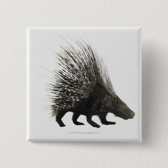 Bóton Quadrado 5.08cm Porcupine (Frente)