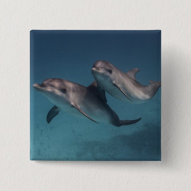 Bóton Quadrado 5.08cm Pose brincalhão (Frente)