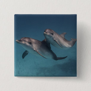 Bóton Quadrado 5.08cm Pose brincalhão