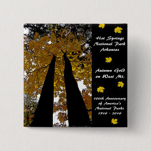 Bóton Quadrado 5.08cm Primaveras Quentes do National Park Centennial Dou