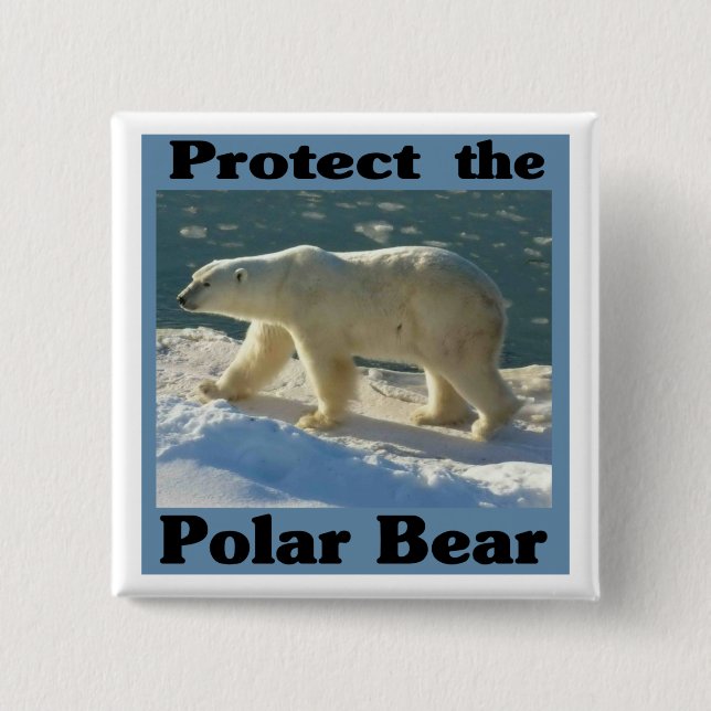 Bóton Quadrado 5.08cm Proteja o Urso Polar (Frente)