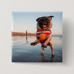 Bóton Quadrado 5.08cm Pug Playing Ball on Beach