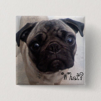 Bóton Quadrado 5.08cm Pug que?