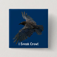 PULVERIZANDO, FALO Crow! Willife Bird Art