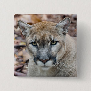 Bóton Quadrado 5.08cm Puma, leão-da-montanha, pantera-da-flórida, Puma