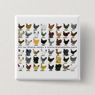 Bóton Quadrado 5.08cm Quarenta e oito Hen Promo