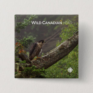 Bóton Quadrado 5.08cm Queda - Falcão Peregrino