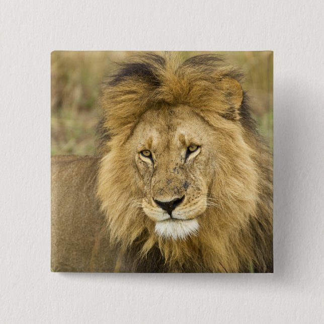 Bóton Quadrado 5.08cm Quênia Masai Mara (Frente)