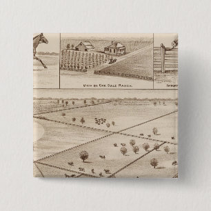 Bóton Quadrado 5.08cm Ranch Oakdale