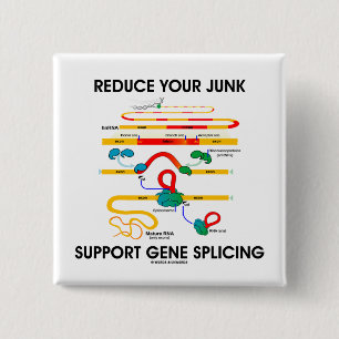 Bóton Quadrado 5.08cm Reduza sua emenda do gene do apoio da sucata (o