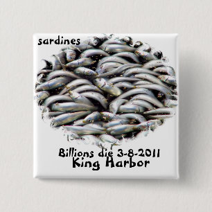 Bóton Quadrado 5.08cm Rei Harbor-Sardines_