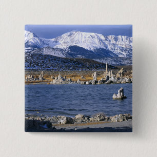 BÓTON QUADRADO 5.08CM RESERVA NATURAL DO ESTADO DE MONO LAKE TUFA,