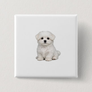 Bóton Quadrado 5.08cm Retrato de Cachorrinho Maltês Branco Fofinho Amant