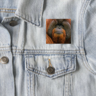 Bóton Quadrado 5.08cm Retrato de Orangutango Macho, Geórgia, EUA