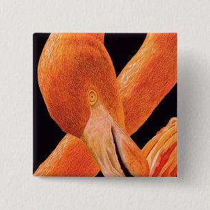 Bóton Quadrado 5.08cm Retrato do flamingo