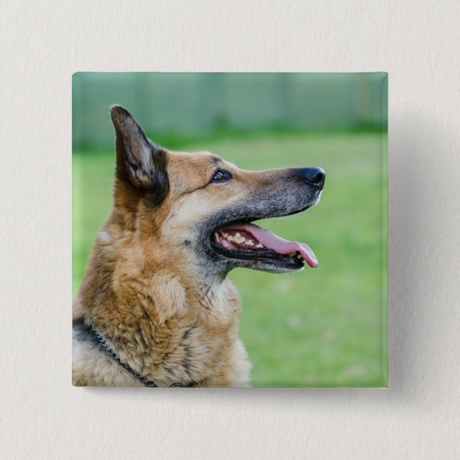 Bóton Quadrado 5.08cm Retrato lateral do german shepherd (Frente)