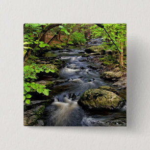 Bóton Quadrado 5.08cm Ribeiro flui através da floresta