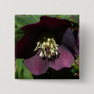 Bóton Quadrado 5.08cm Rosa de Lenten Roxo