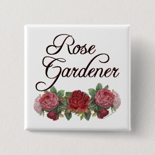 Bóton Quadrado 5.08cm Rosa Gardener Say com Rosas