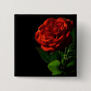 Bóton Quadrado 5.08cm Rosa vermelha no Preto Floral