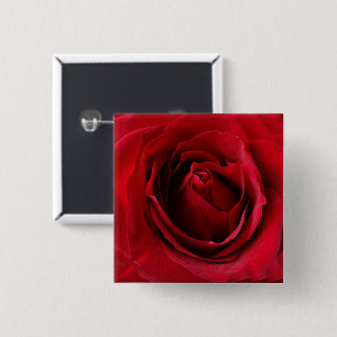 Bóton Quadrado 5.08cm rosa vermelha profunda