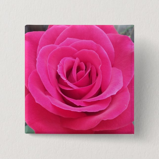 Bóton Quadrado 5.08cm Rosa vermelha real (Frente)