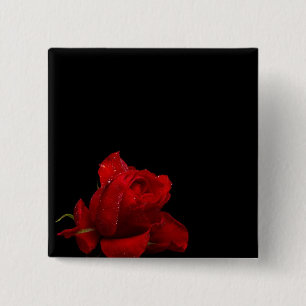 Bóton Quadrado 5.08cm Rosas são vermelhos