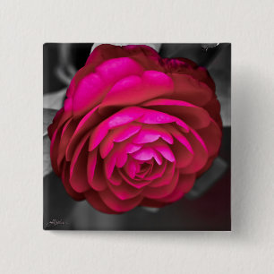 Bóton Quadrado 5.08cm Rosy Camellia