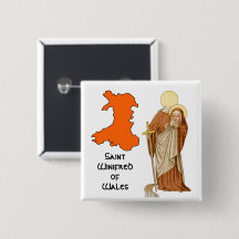 Rua. Winifred of Wales (P 002)