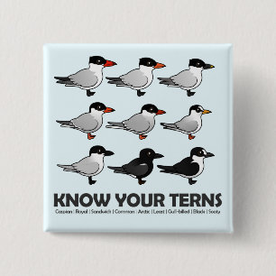 Bóton Quadrado 5.08cm Saiba suas andorinhas-do-mar