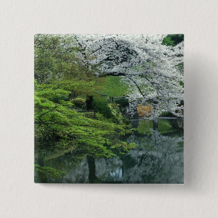 Bóton Quadrado 5.08cm Sakura, Jardim Koishikawa Koraku-en, Tóquio,