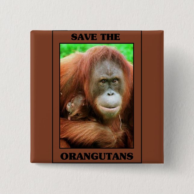 Bóton Quadrado 5.08cm Salve os Orangutanos (Frente)