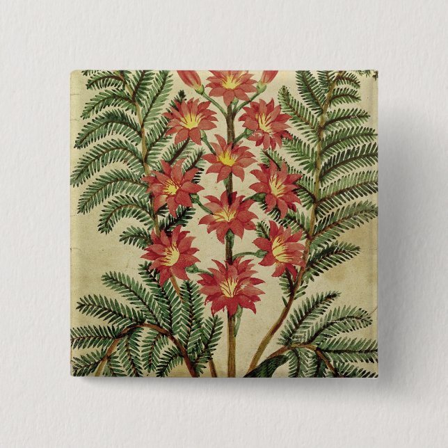 Bóton Quadrado 5.08cm Samambaia com as flores vermelhas e amarelas (Frente)
