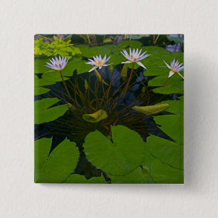 Bóton Quadrado 5.08cm San Francisco California Ouro Gate Park e