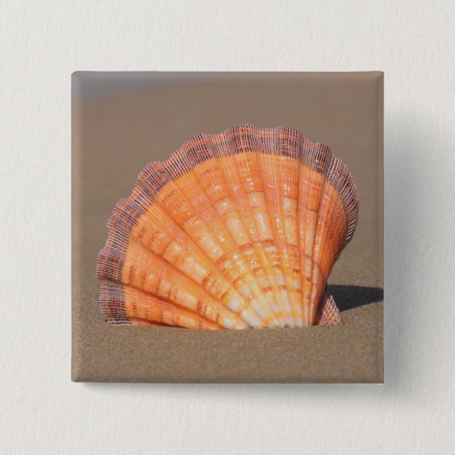 Bóton Quadrado 5.08cm Scallop Shell| Crete, piscina (Frente)