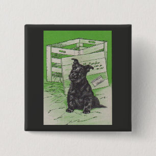 Bóton Quadrado 5.08cm Scottie dog por entrega especial