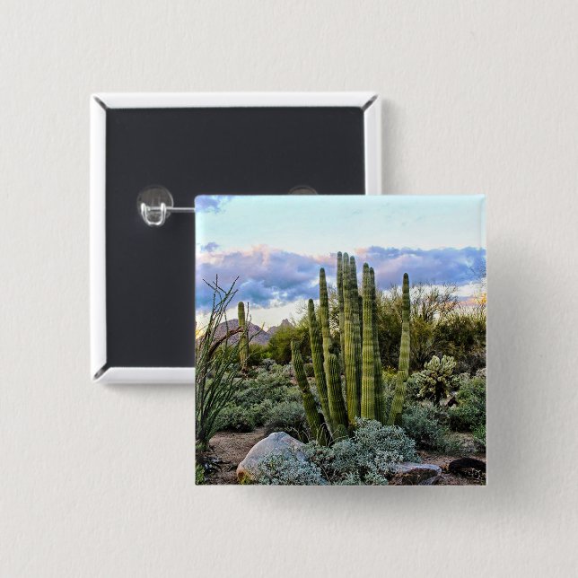 Bóton Quadrado 5.08cm Scottsdale Succulent Sunset (Frente & Verso)