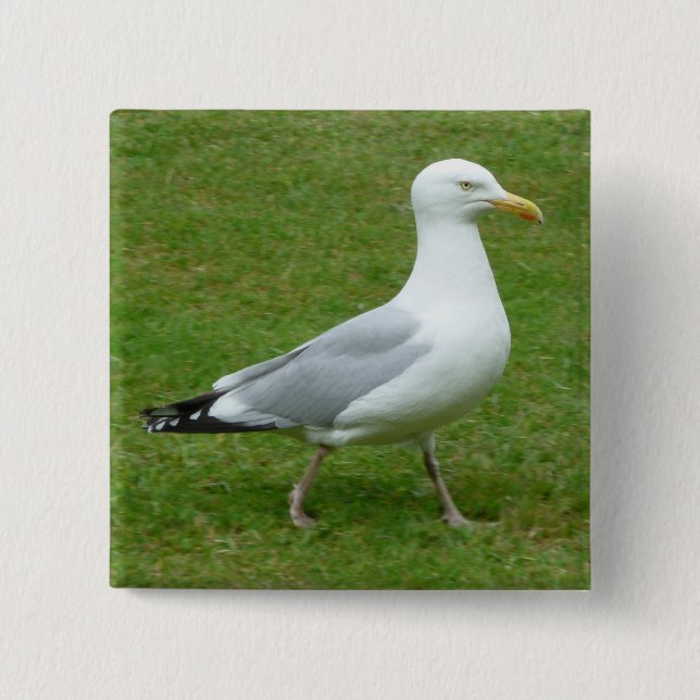 Bóton Quadrado 5.08cm Seagull caminhando no Parque (Frente)