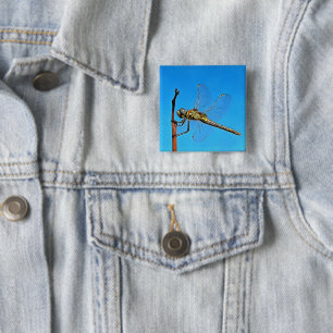 Bóton Quadrado 5.08cm Segure A Dragonfly Artística Contra O Azul Ceruli