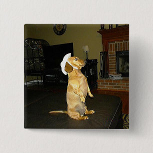 Bóton Quadrado 5.08cm Sentado Bonito ou assistindo TV Dachshund