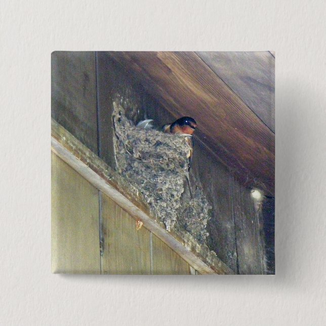 Bóton Quadrado 5.08cm Série Barn Swallow (Frente)