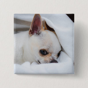 Bóton Quadrado 5.08cm Seu cachorrinho de estimação foto personalizada ch