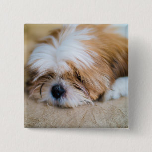 Bóton Quadrado 5.08cm Shih Tzu