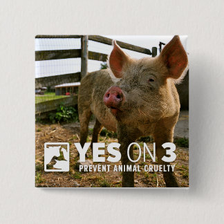 Bóton Quadrado 5.08cm Sim em 3! Mini botão