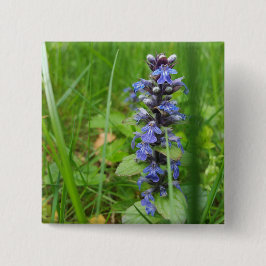 Bóton Quadrado 5.08cm Skullcap Violet Wild Flower